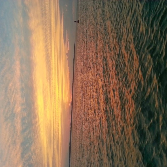 Meet your Posher, Deonte - Picture 1 of 1